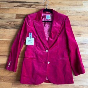Aritzia Velvet Blazer